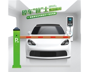 奎文RG-CW系列车位小道闸